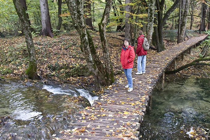 Auf dem "Holzweg" ;-)