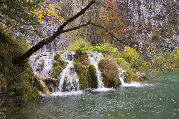 ... aus jedem Loch, über jeden Stein