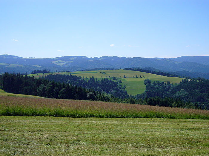 Baiersbronn 2009