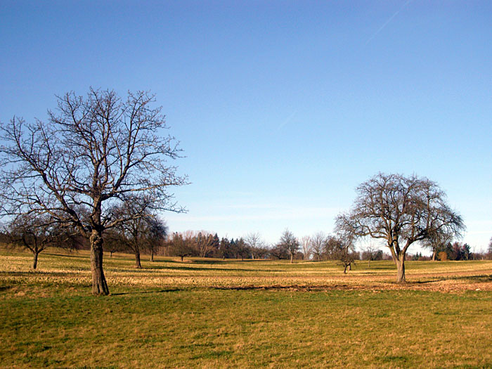 Heute war das Wetter viel besser!