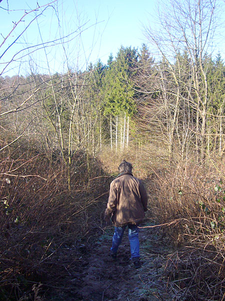 Auf verschlungenen Pfaden