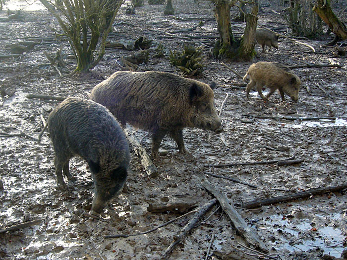 Im Dreck spielen ;-)