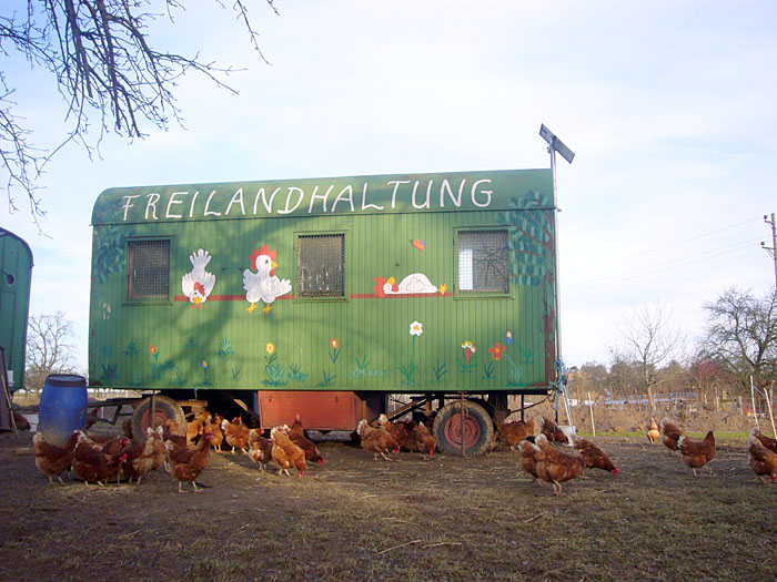&Ouml;kologischer H&uuml;hneranbau ;-)