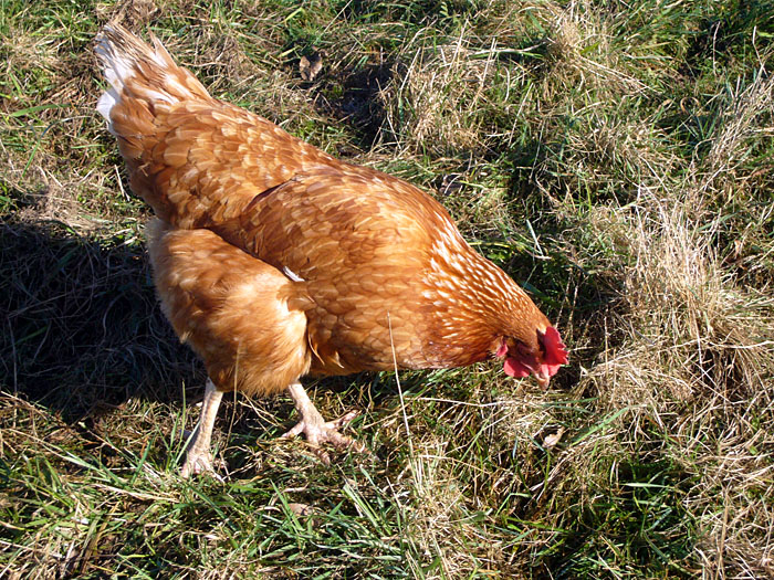 ... hier noch ohne Spie&szlig; ;-)