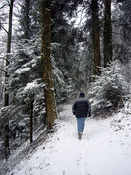 Zun&auml;chst stetig bergauf