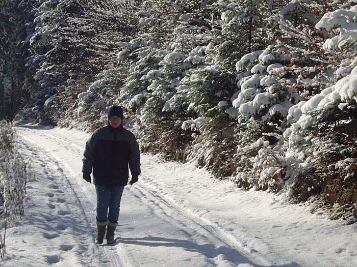 In den Fahrspuren l&auml;sst es sich noch gut laufen ...
