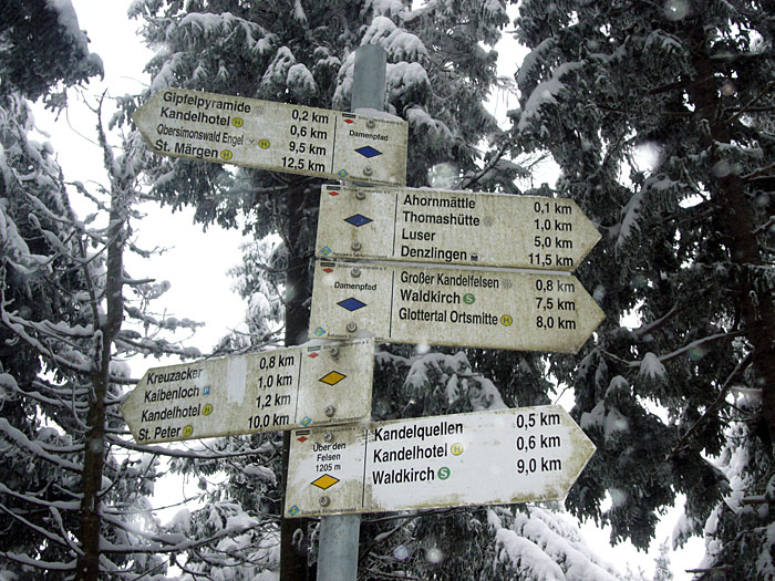 In Glottertal sind wir gestartet