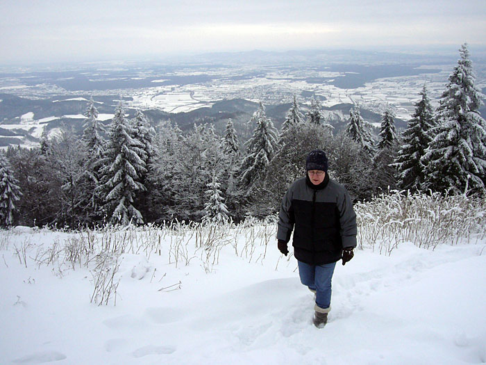 Zumindest schon mal h&ouml;her als die B&auml;ume