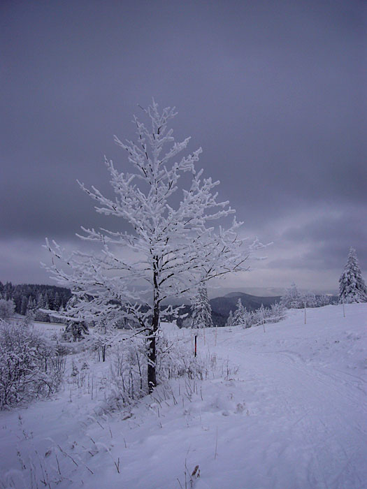 Schneewolken ziehen &uuml;ber die Gipfel