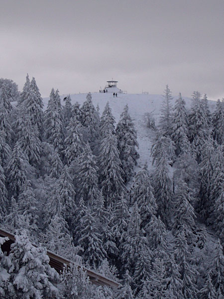 Unser Ziel (au&szlig;er dem Restaurant), das Kandel-Gipfelh&auml;uschen ...