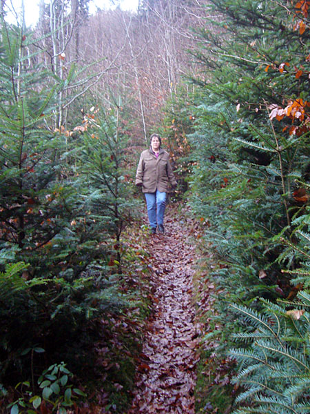 Unterwegs auf schmalen Pfaden