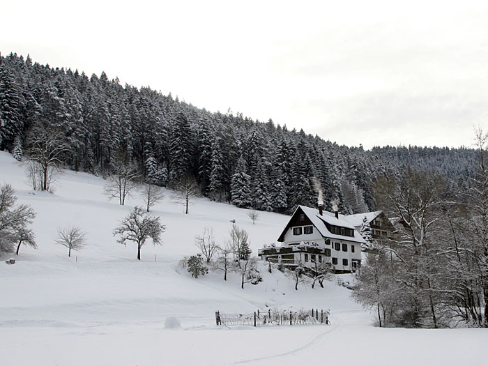 ... doch der Niederschlag bleibt (zum Gl&uuml;ck) aus