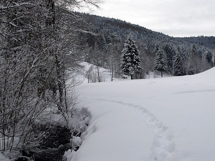 Daf&uuml;r wird es, durch die Schneetiefe, von unten her feucht