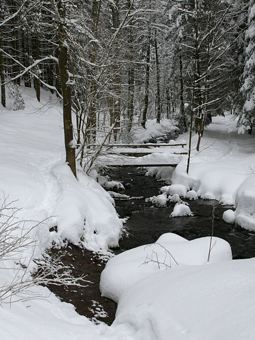 An der Sankenbach-Furt