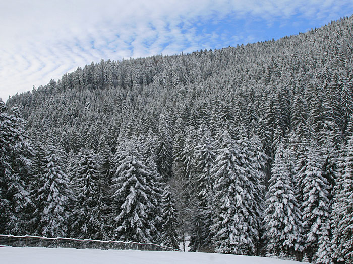 Zum Abschluss etwas blauer Himmel