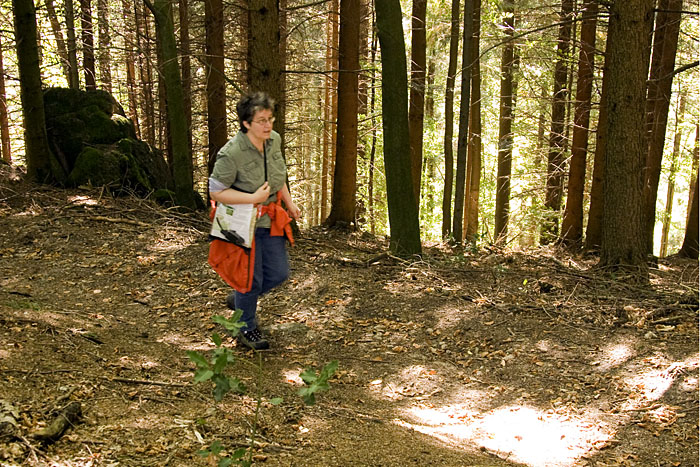 Weiter durch den dunklen Wald