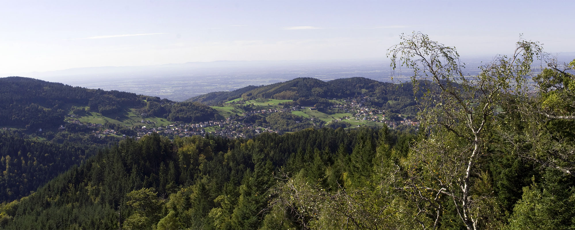 Blick vom Falkenfelsen ins Wiedental