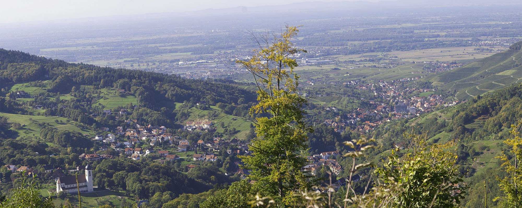 Blick vom "Briefträgerweg" Richtung Bühlertal