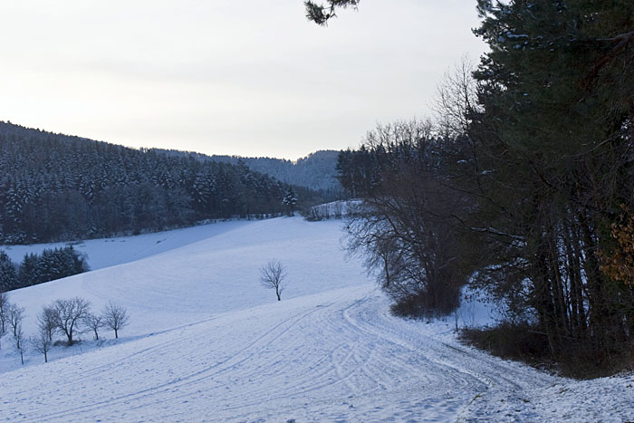 Am Leimeneck