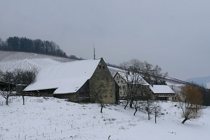 Alter Hof