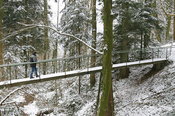 Stählerne Brücken