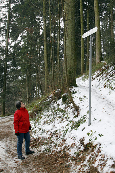 Links oder rechts?