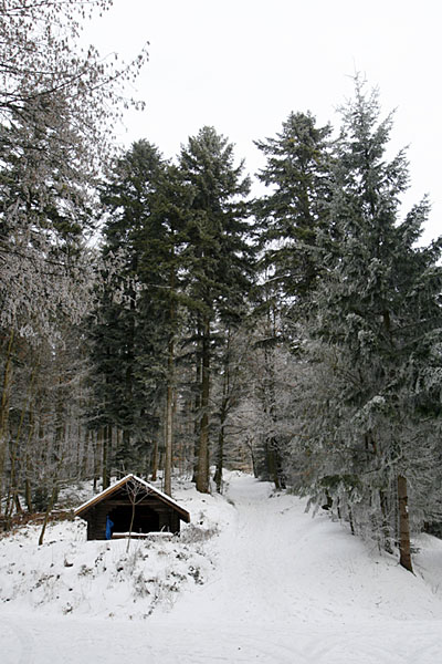 Die "Rote Hütte"