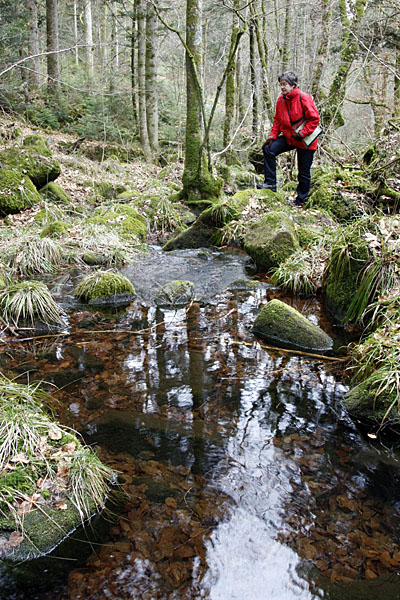... flie&szlig;t in das Eyachtal
