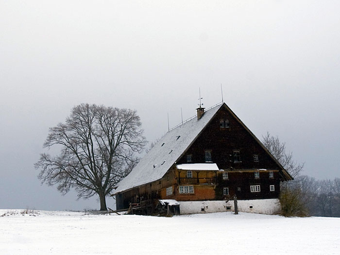 Der Tonishof