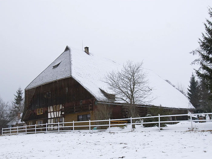 Der Jungbauernhof