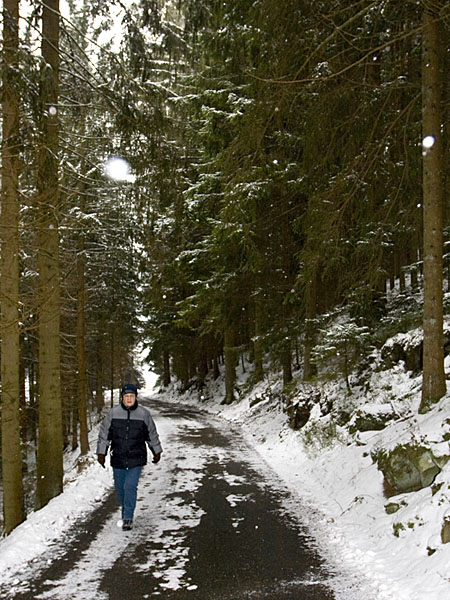 Auf einem Waldweg