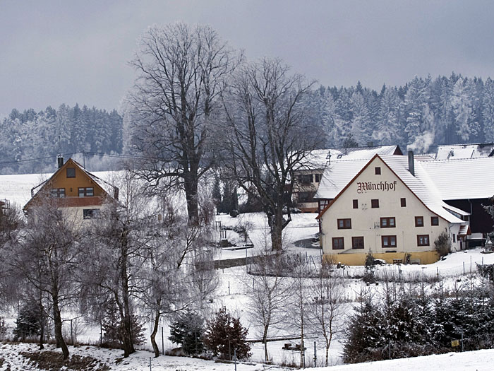 Nochmal der Mönchhof