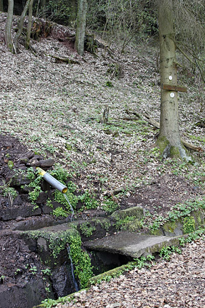 Der Schlangenbrunnen
