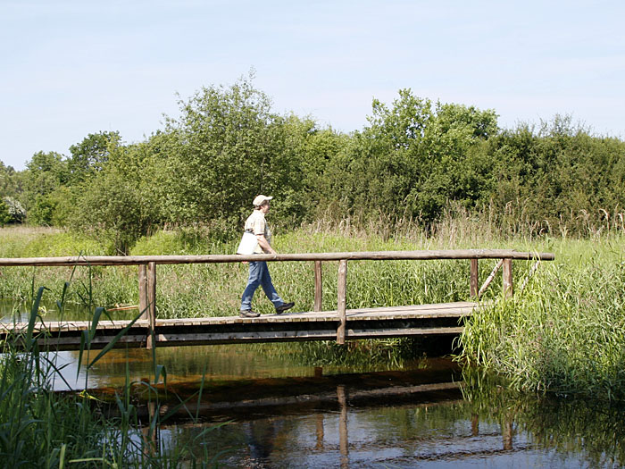 Trockenen Fu&szlig;es &uuml;ber den Saarbach