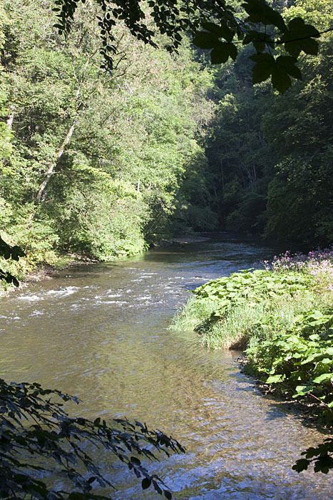 Die Wutach