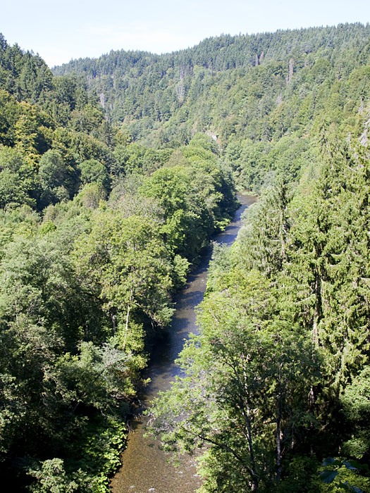 Blick über die Wutachschlucht
