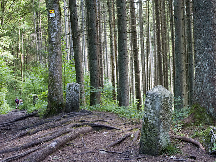 Alte Wegbegrenzungen, angeblich aus der Römerzeit