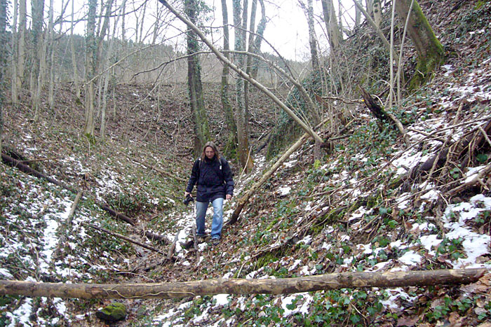 ... der Andere muss durchs Unterholz ;-)