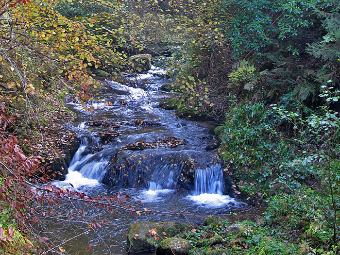 Nochmal der Grobbach