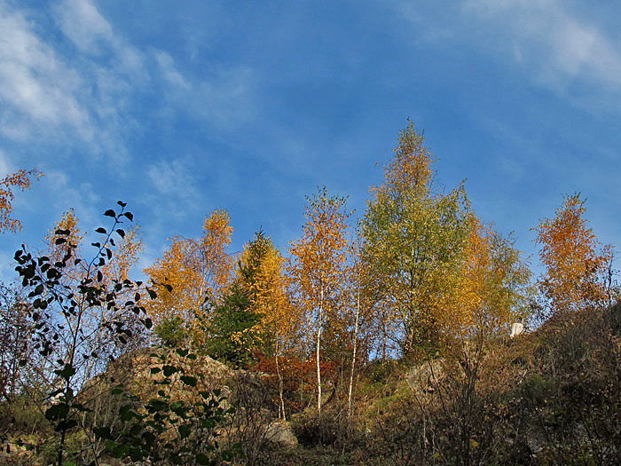 Der Hochnebel verzieht sich