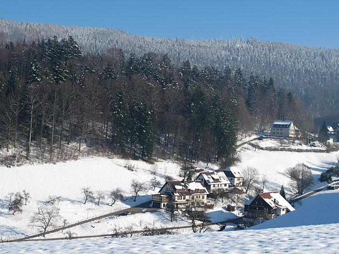 Blick ins Gaistal