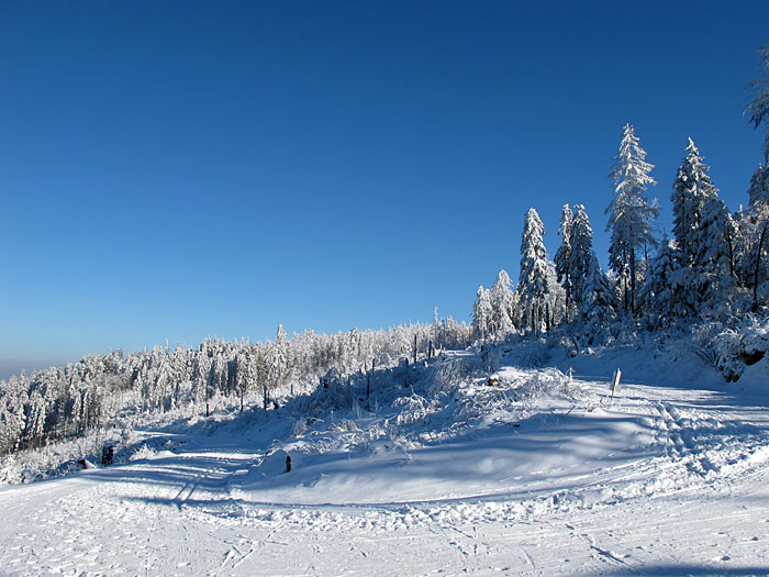 Wenn der Winter nur immer so schön wäre ...