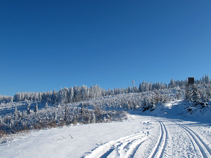 Solch einen blauen Himmel haben wir lange vermisst