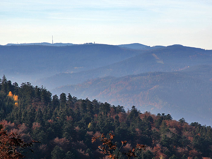 Blick zur Hornisgrinde