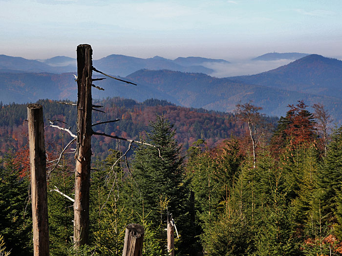 Die Wälder sind herbstlich gekleidet
