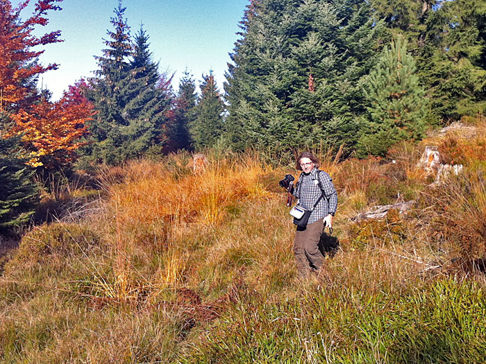 Carlo auf der Jagd