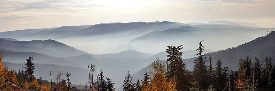 Schwarzwaldhöhen