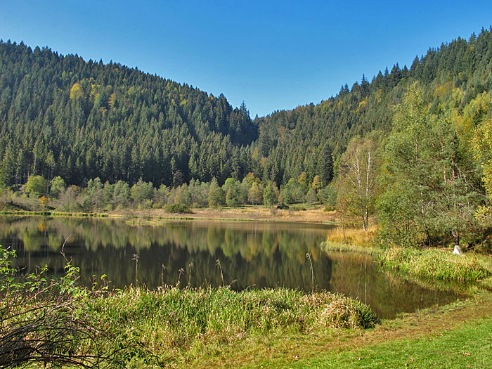 Am Sankenbachsee