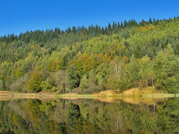 Am Sankenbachsee