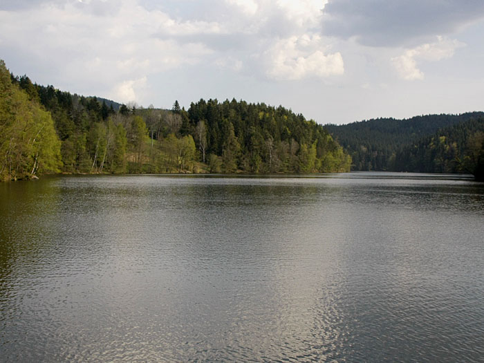 Am Höllensteinsee